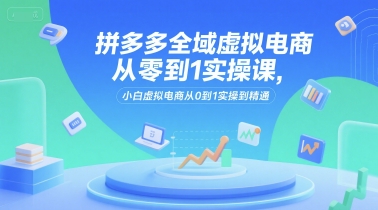 拼多多全域虚拟电商从零到1实操课，小白必学：从0到1精通虚拟电商-网赚项目资源库