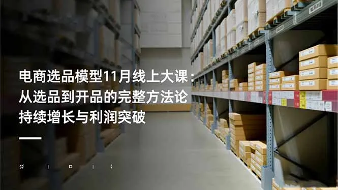 电商选品模型11月线上大课：完整方法论，实现持续增长与利润突破-网赚项目资源库