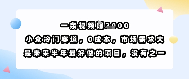 视频内容创作：0成本高回报，小众冷门赛道，市场需求大，未来半年最佳项目-网赚项目资源库