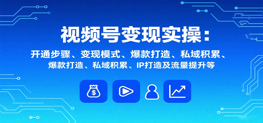 视频号变现全攻略：步骤、模式、爆款打造、私域运营、IP塑造及流量增长技巧-网赚项目资源库