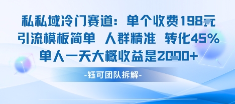 私域冷门赛道引流模板：198元单个收费，45%转化率，单人一天收益多张-网赚项目资源库