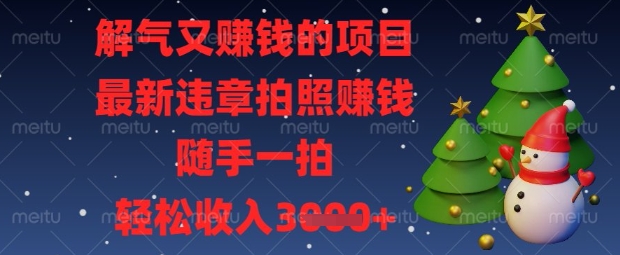 最新赚钱项目：违章拍照，轻松拍出收入数张【揭秘】-网赚项目资源库