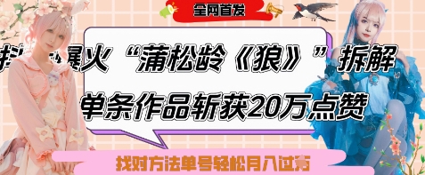 《狼》作品爆火揭秘：6条作品涨粉24万，单条点赞破20万，轻松月入过W的起号秘诀-网赚项目资源库