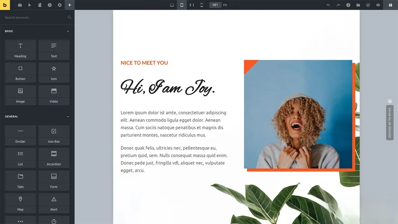 WordPress主题Bricks v1.9 破解版：免费下载与安装指南-网赚项目资源库