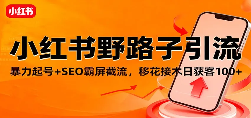 小红书野路子引流技巧：暴力起号+SEO霸屏截流，日增客流量100+-网赚项目资源库