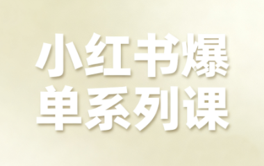 尼采老师小红书爆单系列课程-网赚项目资源库