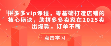 拼多多VIP课程：2025年爆款打造秘籍，助力卖家持续热销-网赚项目资源库