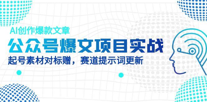 AI创作爆款文章，公众号爆文项目实战起号素材及赛道AI提示词-网赚项目资源库