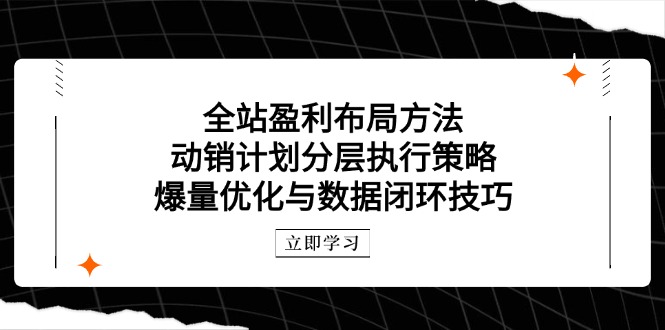 全站盈利布局：动销计划分层执行策略与数据闭环技巧-网赚项目资源库