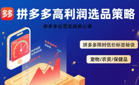 拼多多选品暴利技术实战课：掌握高利润选品策略与限时低价标签秘诀-网赚项目资源库