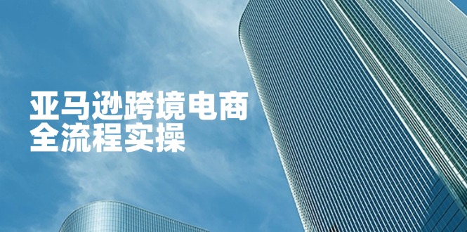 亚马逊跨境电商全流程实操：零基础到精通店铺运营与广告技巧-网赚项目资源库