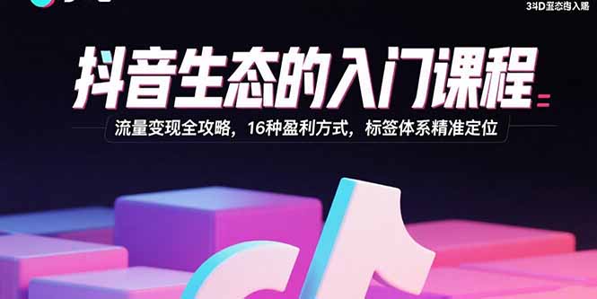 抖音流量变现全攻略：16种盈利方式与精准标签体系入门课程-网赚项目资源库