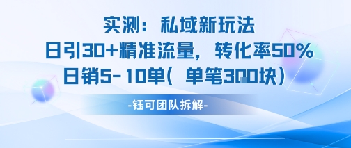 私域流量新策略：日增30+精准访客，转化率50%，单日销售5-10单，每单平均3张产品-网赚项目资源库