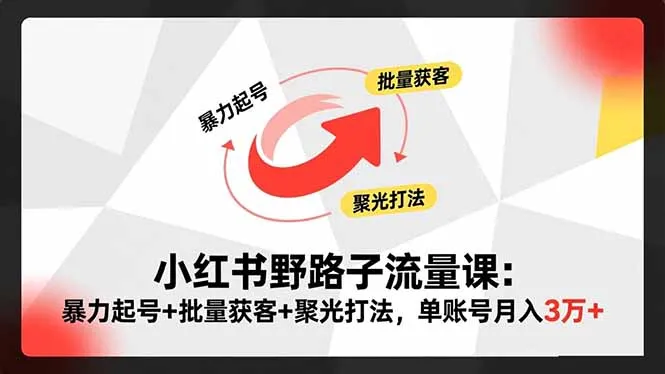 小红书高效引流秘籍：单账号月入3万+，暴力起号与批量获客技巧-网赚项目资源库