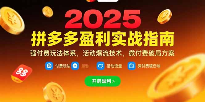 拼多多盈利实战指南：强付费玩法、活动爆流技术及微付费破局方案（更新至7月）-网赚项目资源库