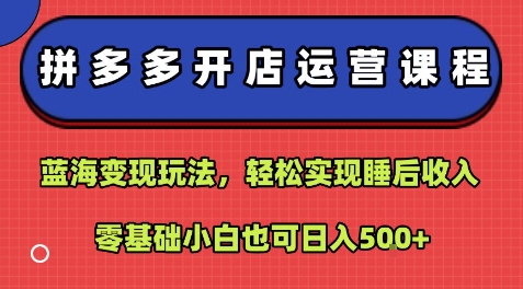 拼多多开店运营课程：蓝海变现技巧，零基础小白也能轻松实现日入500元-网赚项目资源库