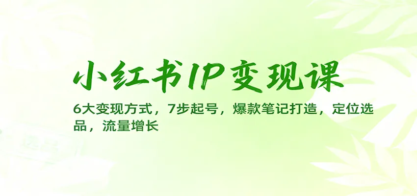 小红书IP变现课程:6大变现策略,7步起号,打造爆款笔记,精准定位选品,流量增长秘籍-网赚项目资源库