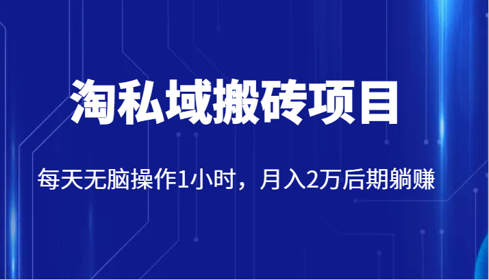 价值2980的淘私域搬砖项目,每天1小时操作月入2万躺赚-网赚项目资源库