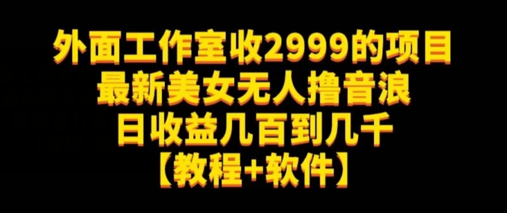 外面工作室收2999项目，揭秘最新美女无人撸音浪日收益几百到几千【教程+软件】-网赚项目资源库