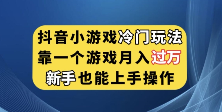 抖音小游戏冷门玩法月入过万，新手也能轻松上手【揭秘】-网赚项目资源库