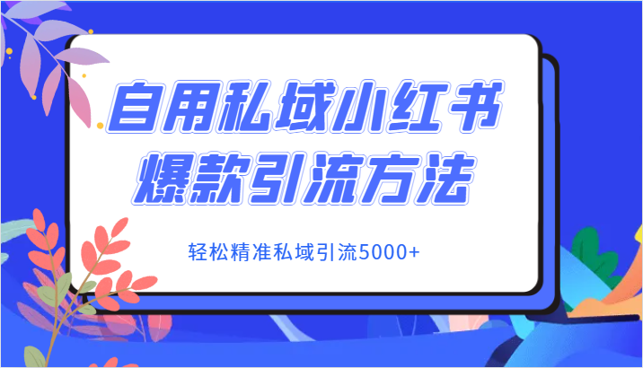 私域流量秘籍：小红书爆款引流技巧，轻松吸引5000+粉丝-网赚项目资源库