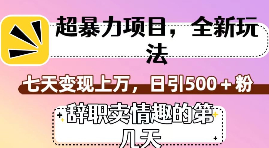 揭秘：辞职后如何通过卖情趣用品实现日赚500+粉丝的暴利项目-网赚项目资源库