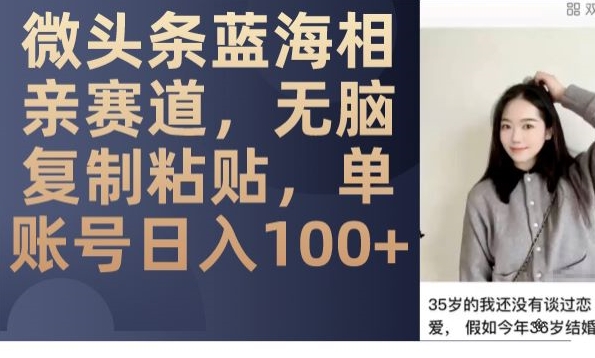 微头条蓝海相亲赛道：单账号日入100+，无脑复制粘贴技巧-网赚项目资源库