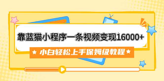 （7595期）蓝猫小程序视频变现教程：小白16000+收益，保姆级资料素材附赠-网赚项目资源库