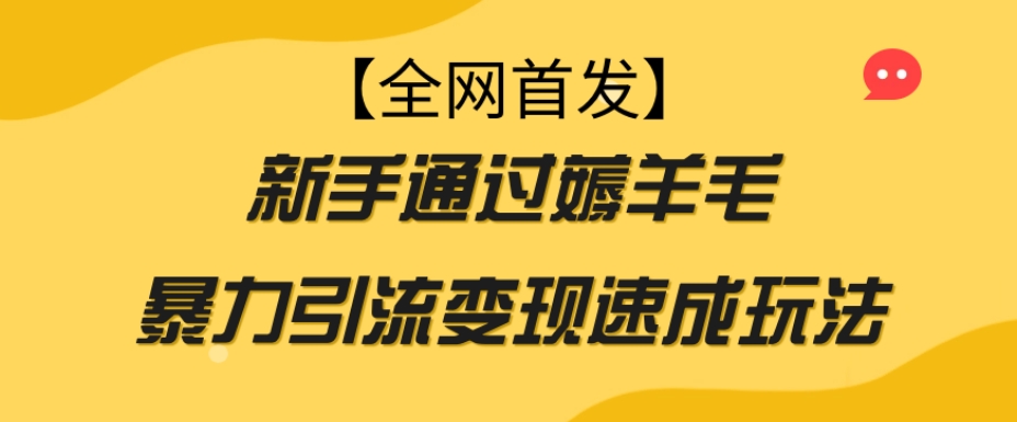 全网首发：新手快速通过薅羊毛实现变现的高效引流技巧-网赚项目资源库