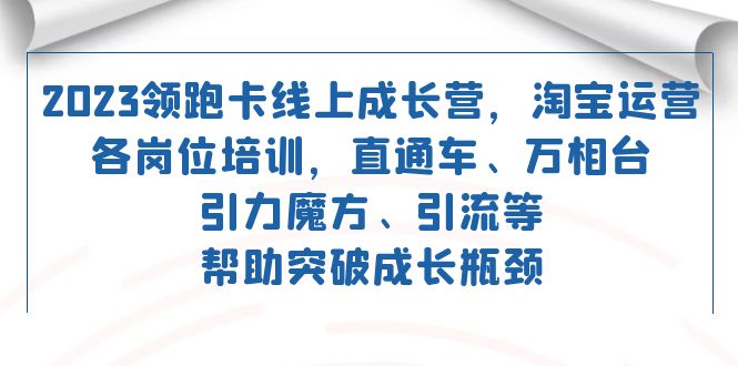 2023年领先培训：淘宝运营技能提升 直通车、万相台、引力魔方引流课程-网赚项目资源库