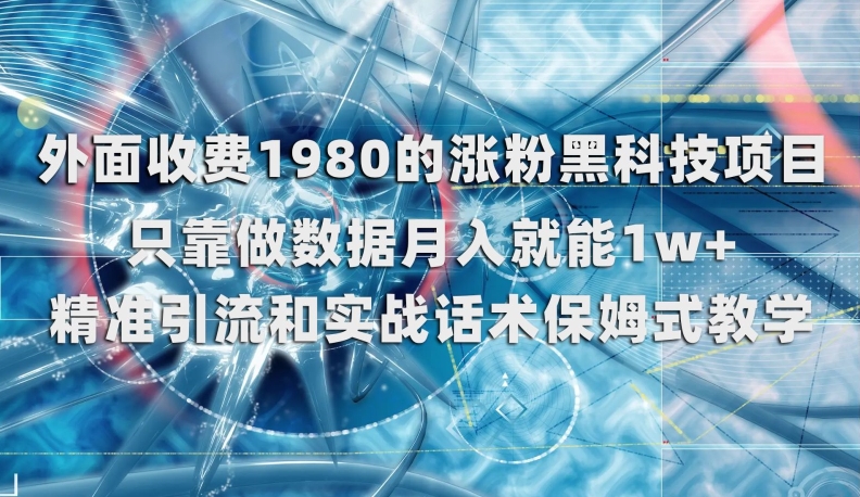 揭秘：仅靠做数据，月入1w+的涨粉黑科技项目，收费1980元-网赚项目资源库