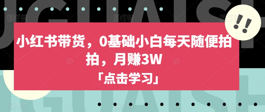 小红书带货：0基础小白月入3万，揭秘轻松赚钱秘诀-网赚项目资源库