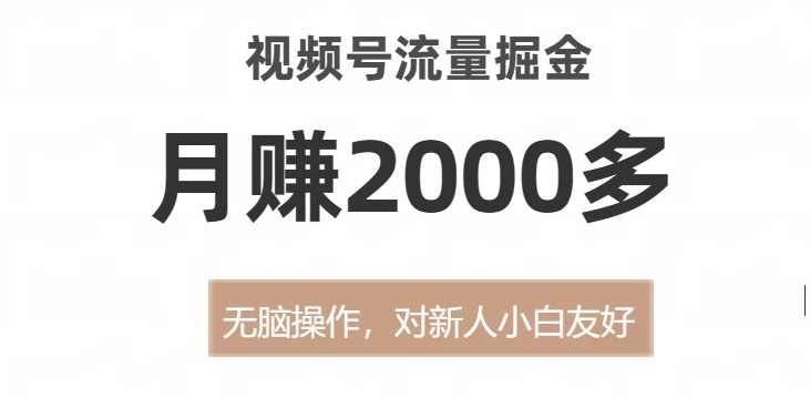视频号流量掘金：新手友好，月入2000+【揭秘】-网赚项目资源库