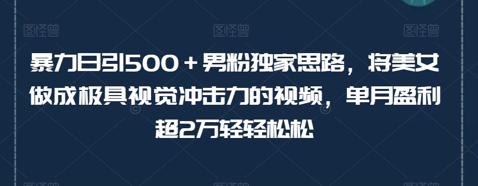揭秘：月入2万+的暴力视频制作技巧，吸引500+男性粉丝-网赚项目资源库