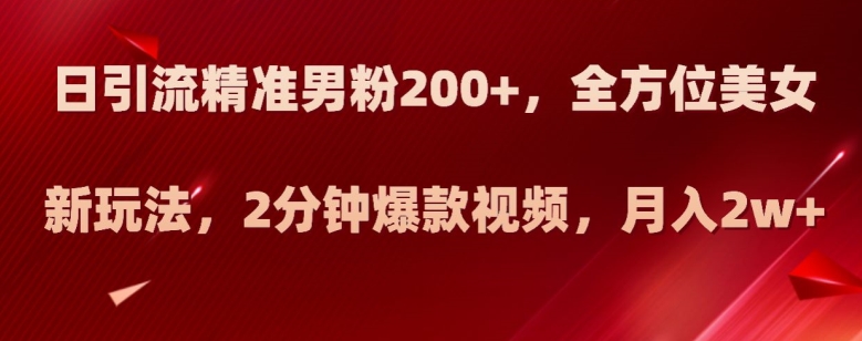 揭秘：日引流200+精准男粉，美女新玩法月入2万+，2分钟爆款视频-网赚项目资源库