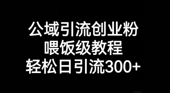 公域引流创业粉：轻松日增300+粉丝的喂饭级教程揭秘-网赚项目资源库