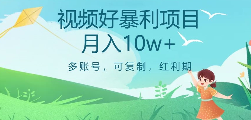 视频号暴利项目揭秘：多账号操作，月入10万+红利期【揭秘】-网赚项目资源库