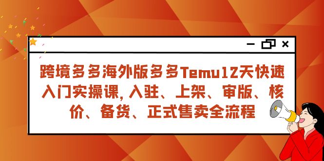（7686期）跨境多多海外版Temu12天快速入门实战课，从入驻到正式售卖全流程-网赚项目资源库