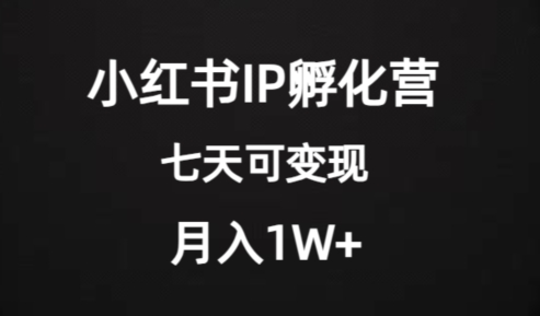 小红书IP孵化营：价值2000+，七天变现，月入1W+-网赚项目资源库
