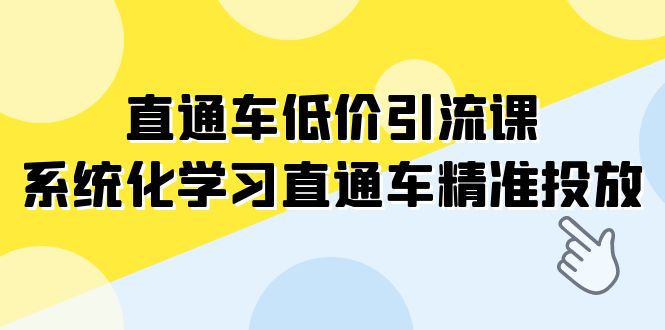 直通车-低价引流课,系统化学习直通车精准投放(14节课) 直通车-低价引流课,系统化学习直通车精准投放(14节课)