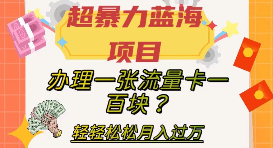 揭秘：仅需一百元办理流量卡，轻松月入过万的超暴力蓝海项目-网赚项目资源库