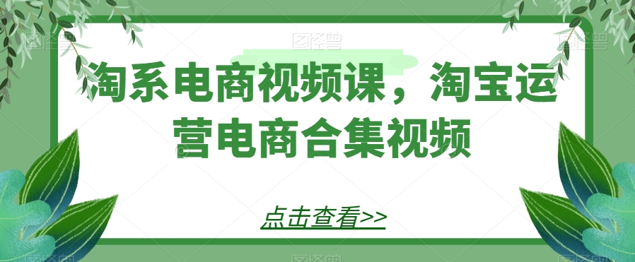淘系电商运营视频课程：淘宝运营与电商合集教程-网赚项目资源库