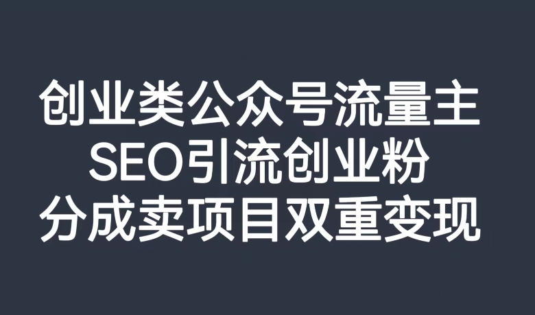 揭秘创业公众号流量变现：SEO引流与项目分成双重盈利策略-网赚项目资源库