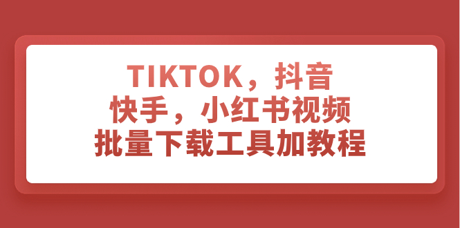 （7714期）TIKTOK，抖音，快手，小红书视频批量下载工具加教程-网赚项目资源库