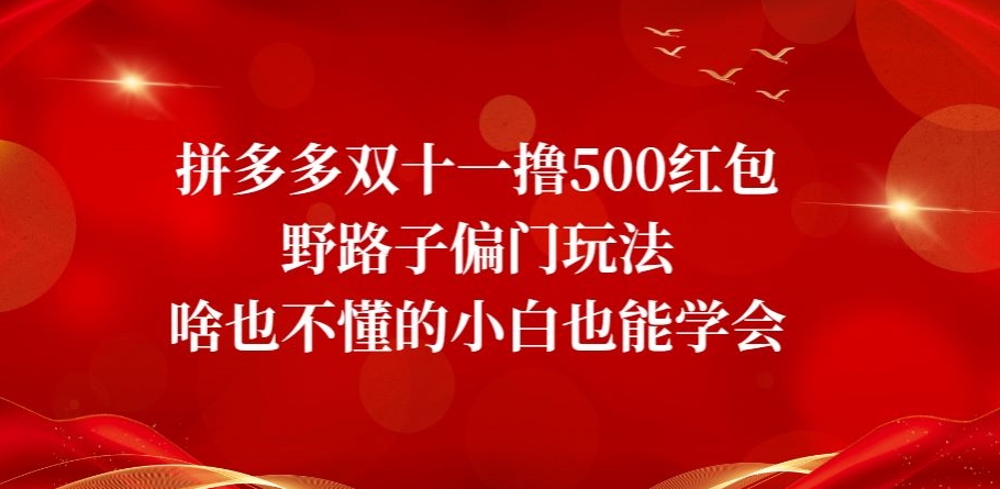 拼多多双十一500红包技巧：小白也能学会的野路子玩法揭秘-网赚项目资源库