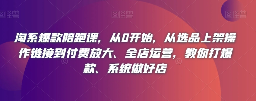淘系爆款陪跑课：零基础到全店运营，教你打造爆款并实现盈利-网赚项目资源库