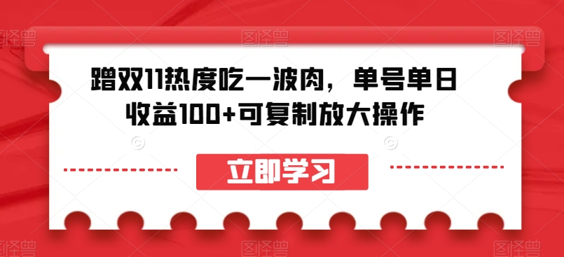 揭秘：双11期间如何单日收益破百，复制放大操作攻略-网赚项目资源库