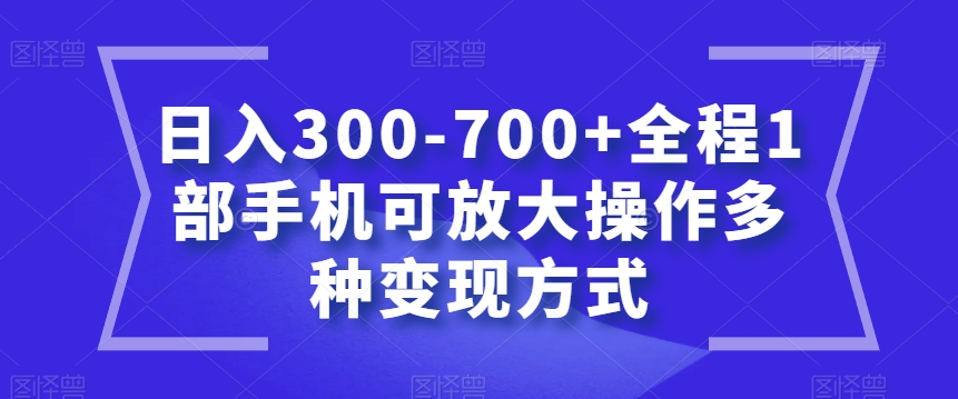 日入300-700元，手机操作多变现方式揭秘-网赚项目资源库