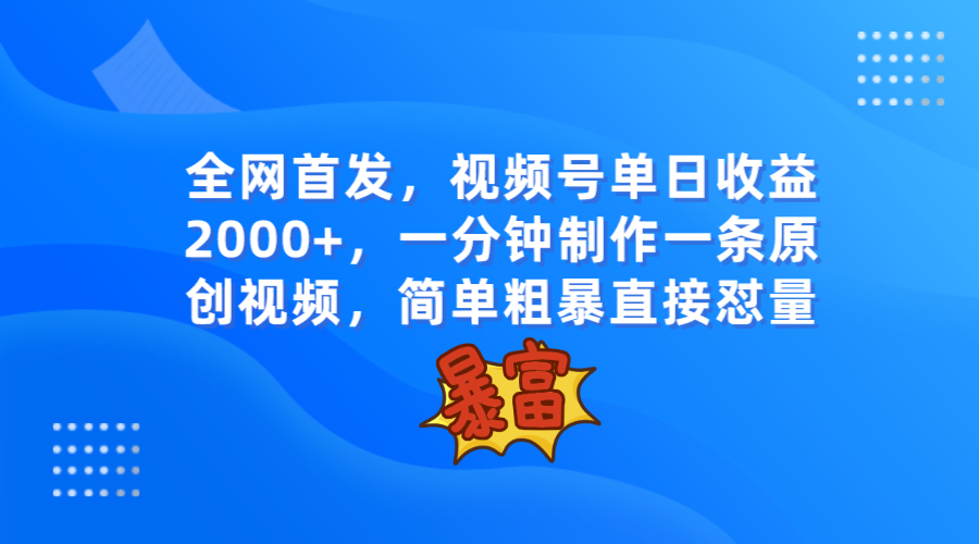 全网首发：视频号单日收益2000+，一分钟制作一条原创视频，简单粗暴-网赚项目资源库
