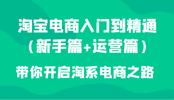 淘宝电商入门到精通：新手篇+运营篇，开启淘系电商之路-网赚项目资源库